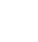 Logo Fiat Concession