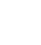 Logo DS