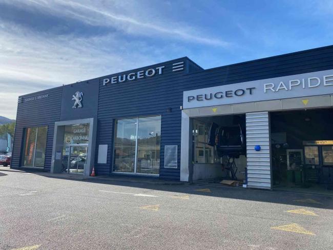 Peugeot carbonne