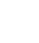 Logo DS